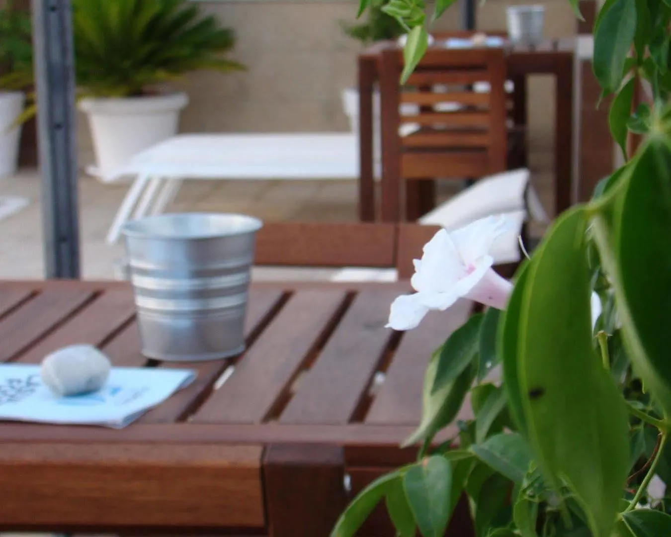 Aparthotel Fleming 50 - Adults Only Σαν Αντόνιο